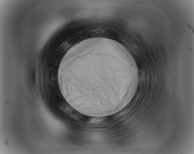 X0000097770526200804041155