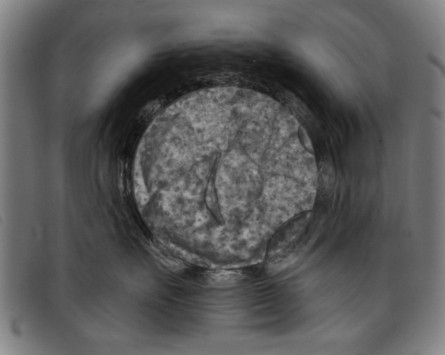 X0000097770527200804041155