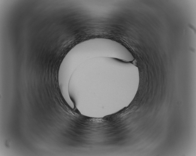 X0000097770528200804041155