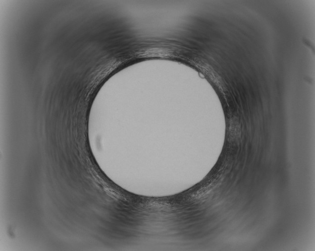 X0000097770529200804041154