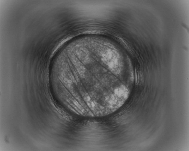X0000097770531200804041154