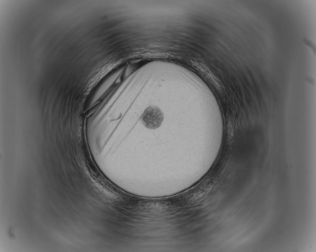 X0000097770533200804041154