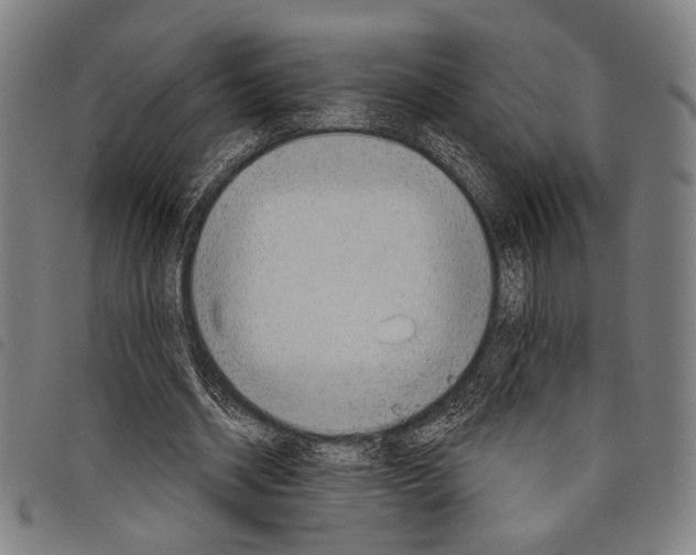 X0000097770534200804041154