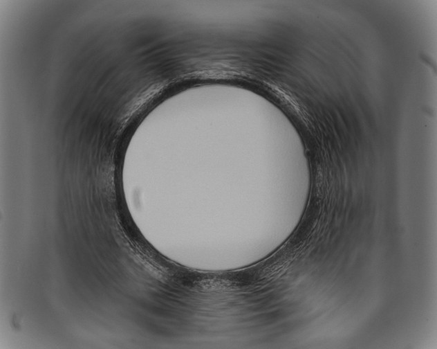 X0000097770535200804041154