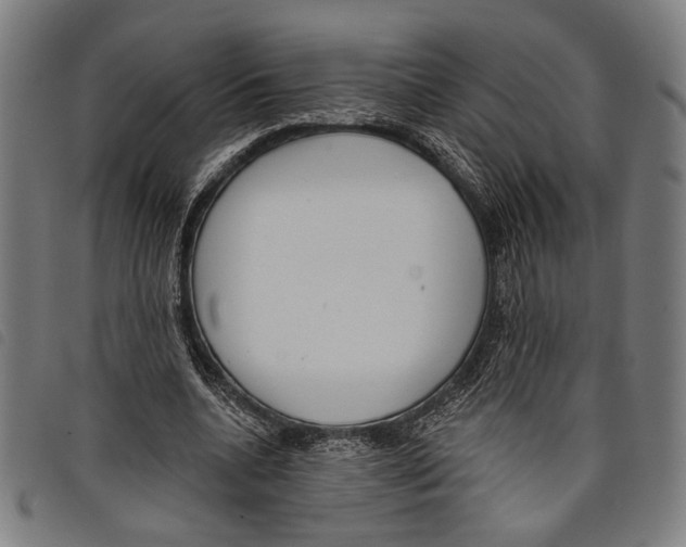 X0000097770536200804041154