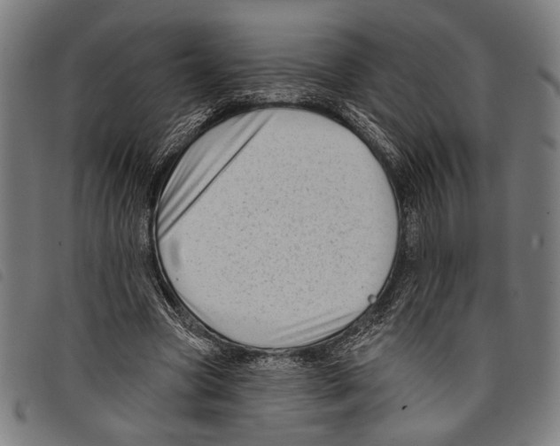 X0000097770537200804041154