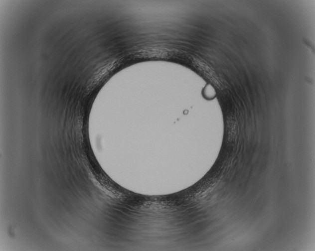 X0000097770538200804041154