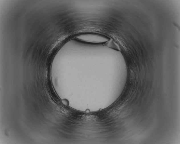 X0000097770539200804041154