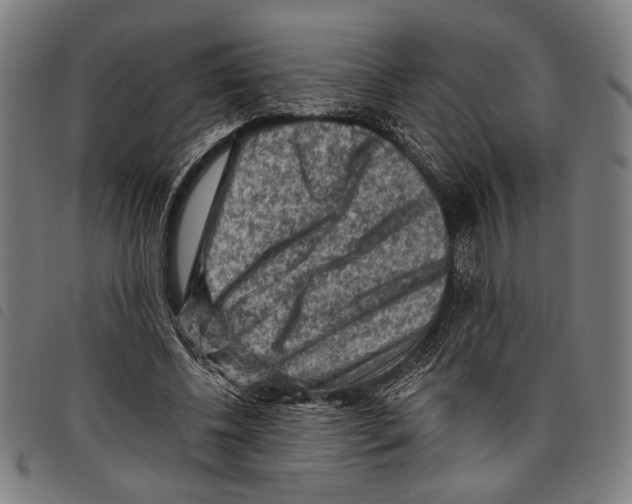 X0000097770540200804041154