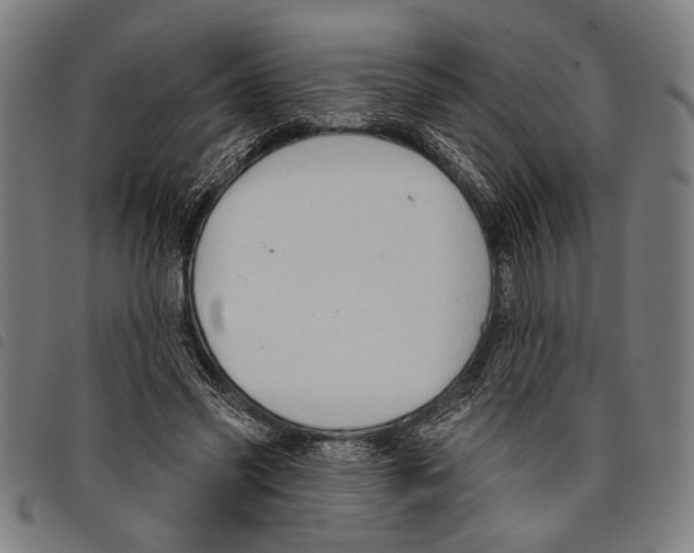 X0000097770541200804041154