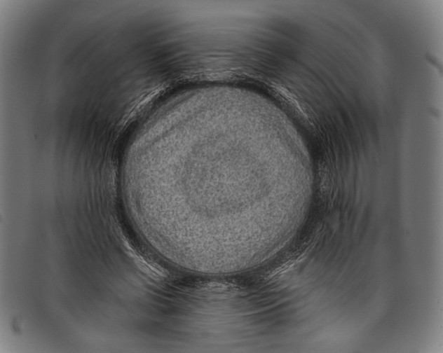 X0000097770542200804041154