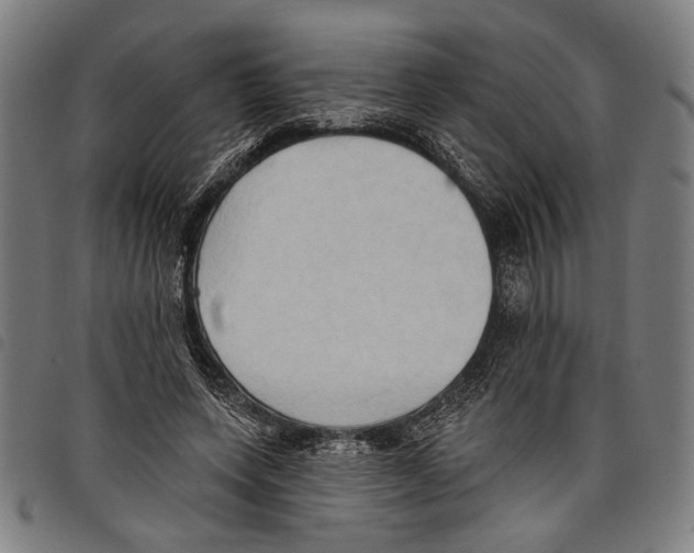 X0000097770543200804041154