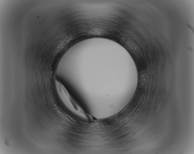 X0000097770544200804041154