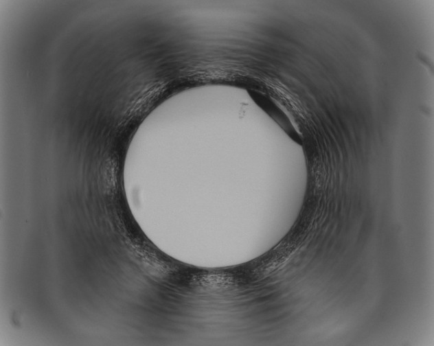X0000097770546200804041154