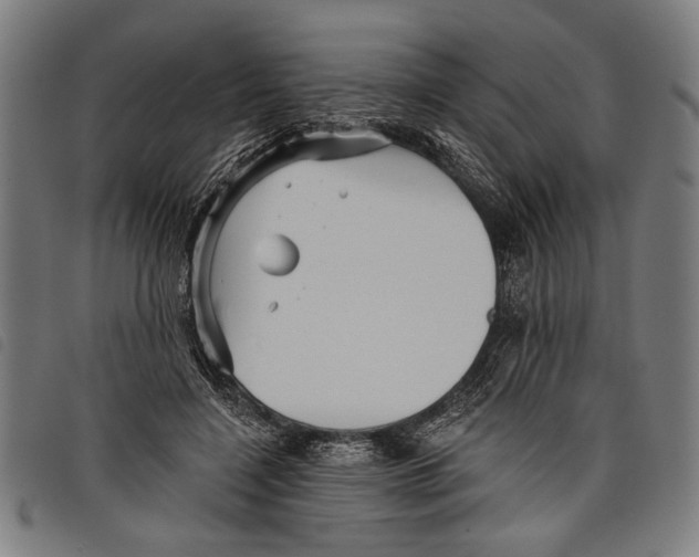 X0000097770548200804041154