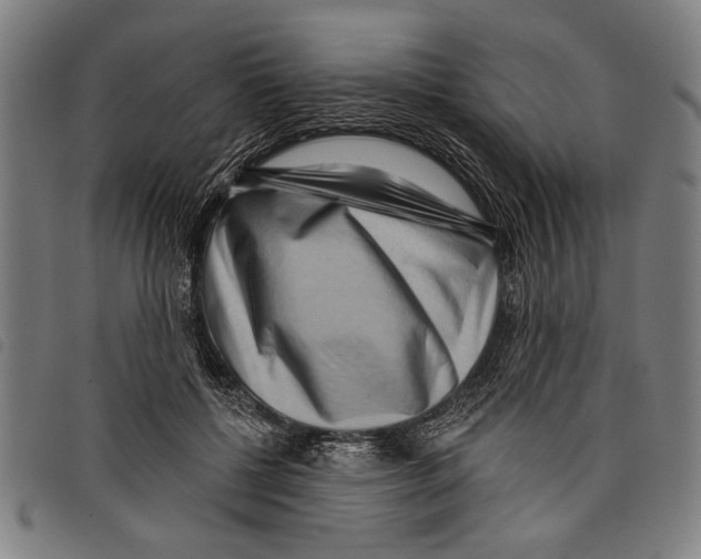 X0000097770552200804041154