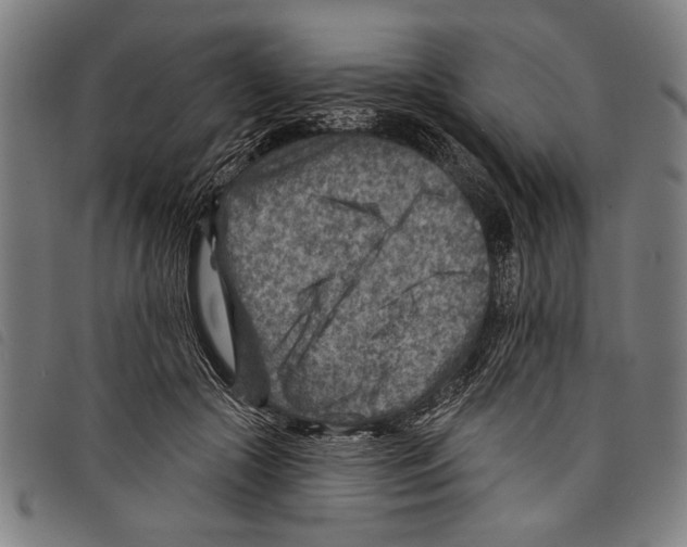 X0000097770553200804041154