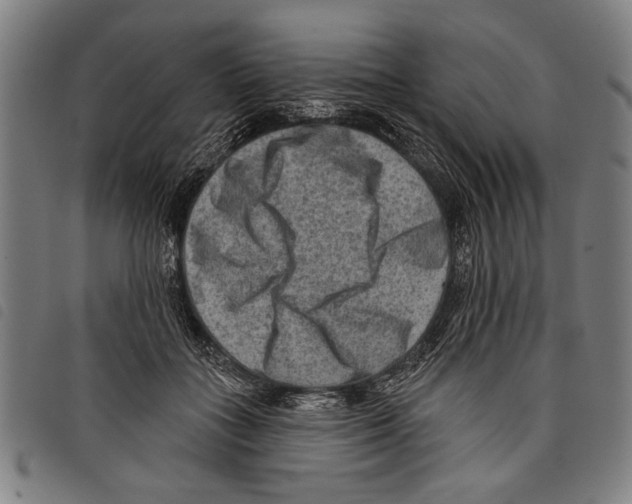 X0000097770555200804041154
