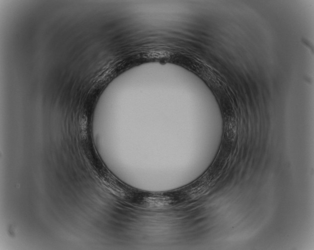 X0000097770556200804041154