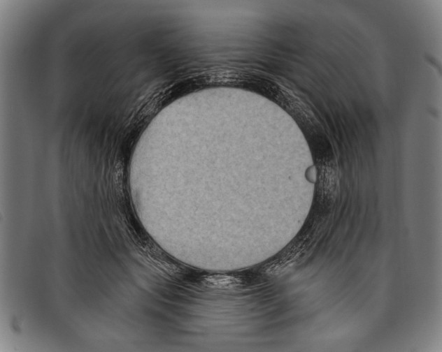 X0000097770557200804041155