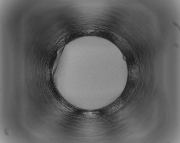 X0000097770558200804041155