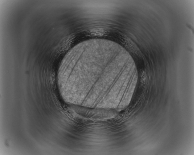 X0000097770559200804041155