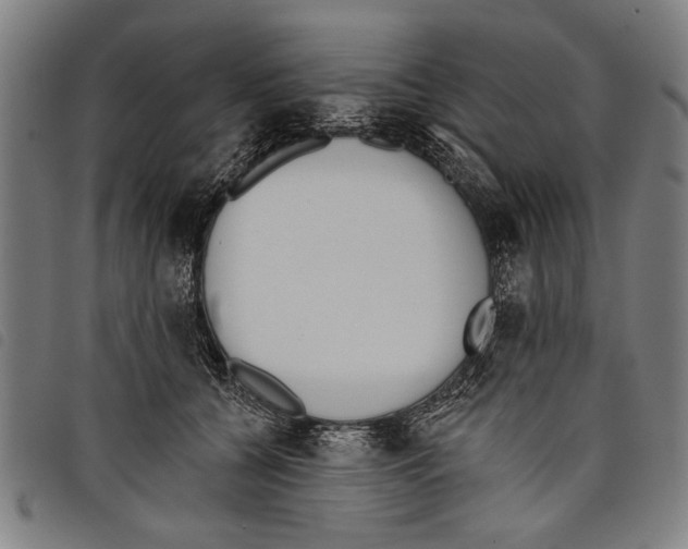 X0000097770560200804041155