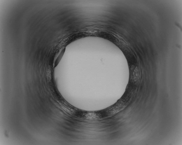 X0000097770562200804041155