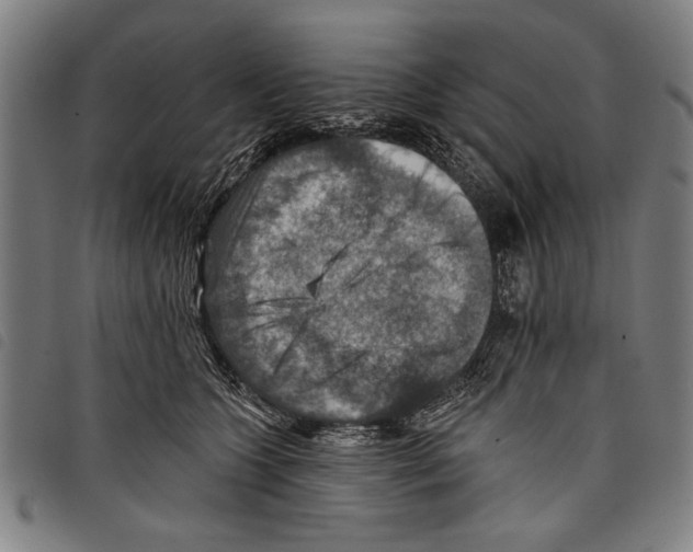 X0000097770563200804041155