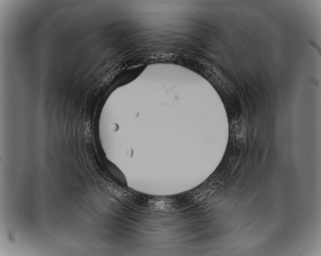 X0000097770564200804041155