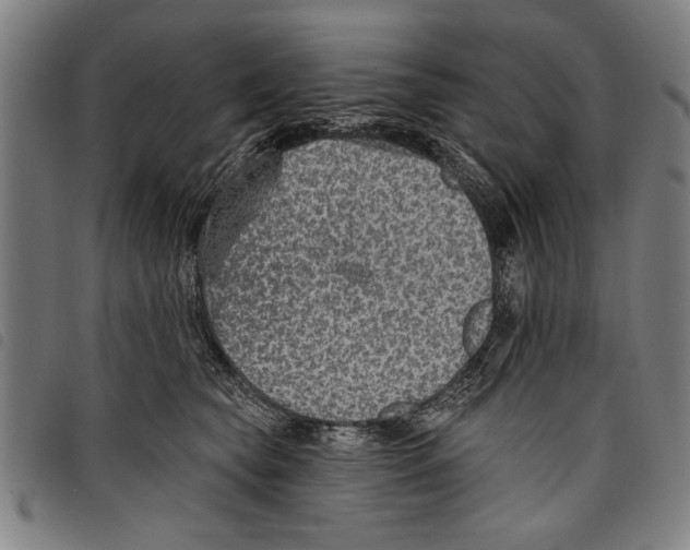 X0000097770565200804041155