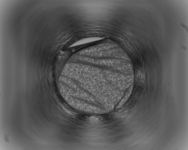 X0000097770566200804041155