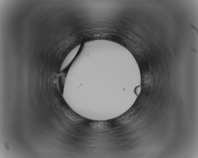 X0000097770567200804041155
