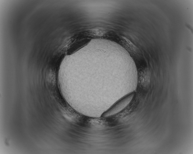 X0000097770568200804041155
