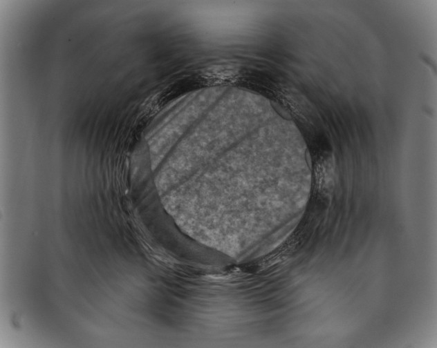 X0000097770570200804041155