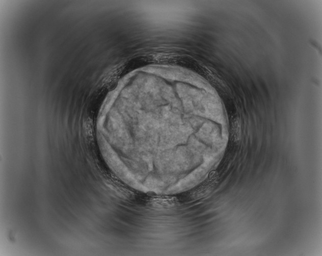 X0000097770571200804041155