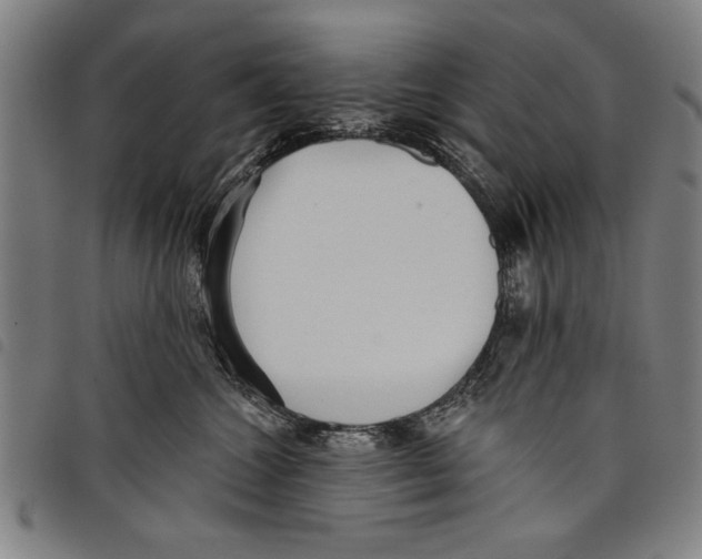 X0000097770572200804041155