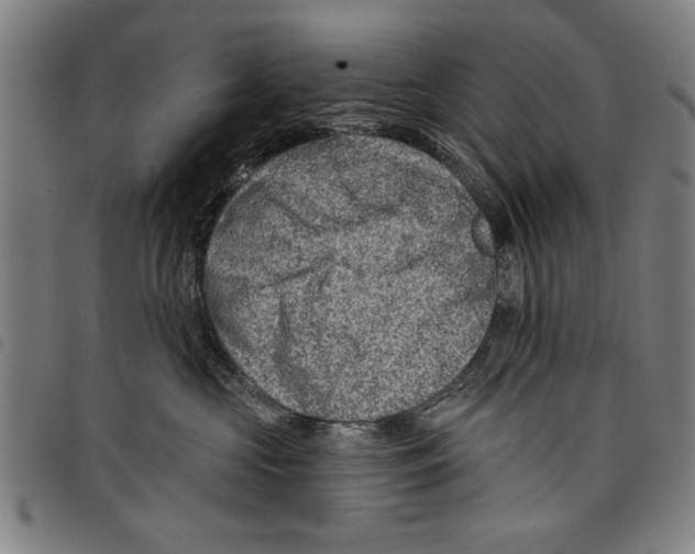 X0000097770573200804041155