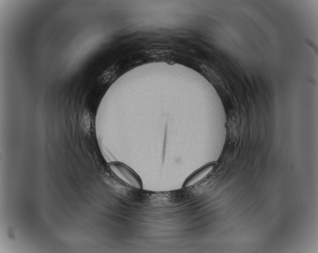 X0000097770574200804041155