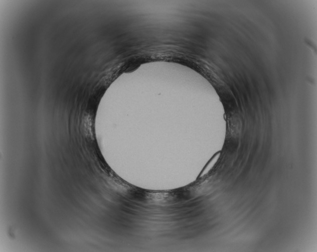 X0000097770575200804041155