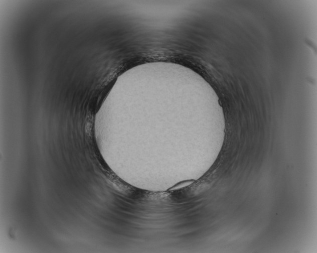 X0000097770576200804041155