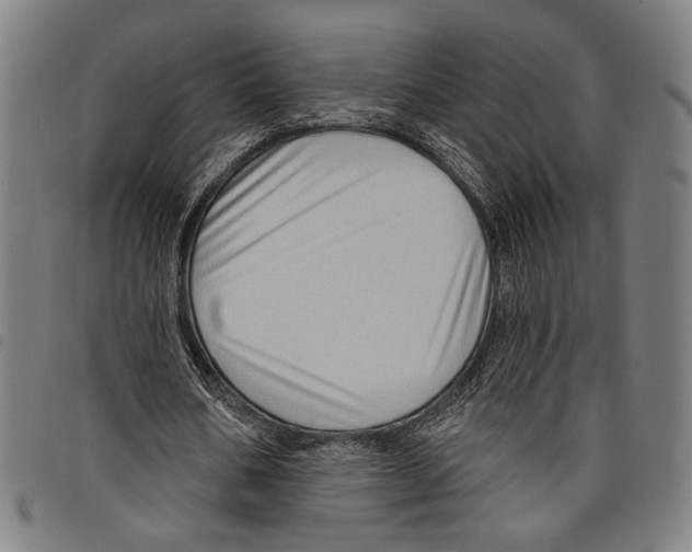 X0000097770578200804041154