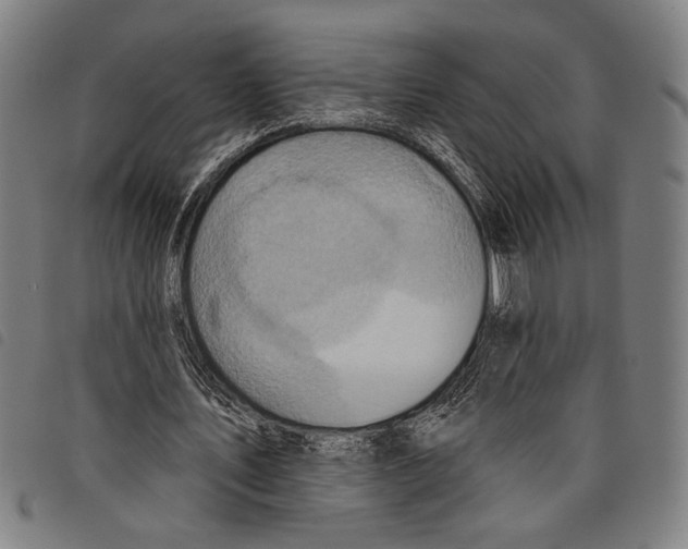 X0000097770579200804041154