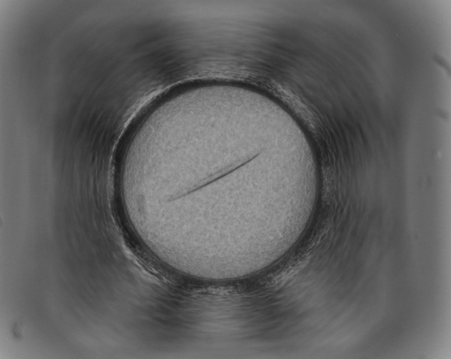X0000097770580200804041154