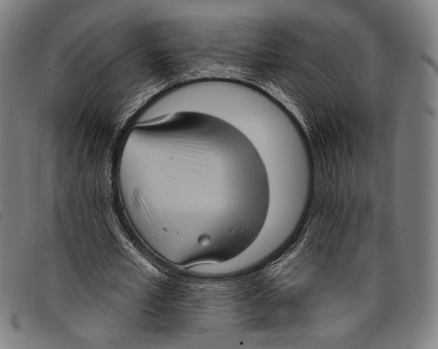 X0000097770581200804041154