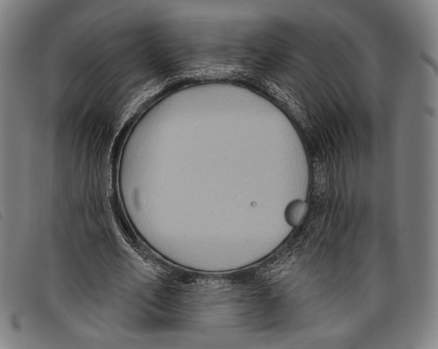 X0000097770582200804041154