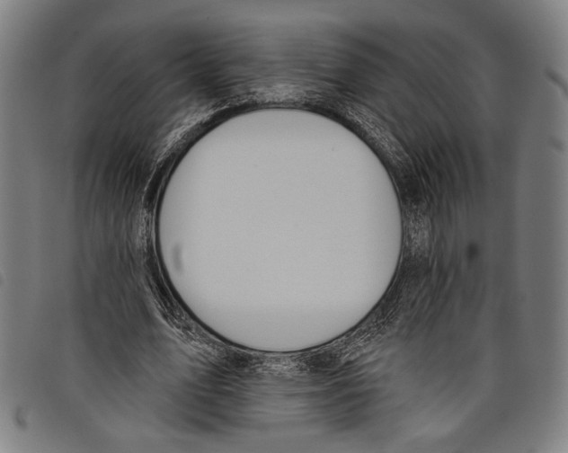 X0000097770583200804041154