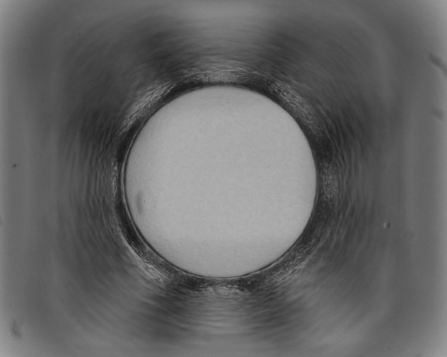 X0000097770586200804041154