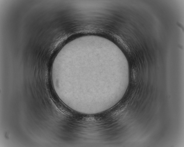 X0000097770588200804041154