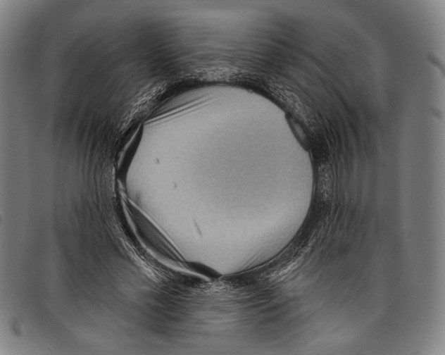 X0000097770589200804041154